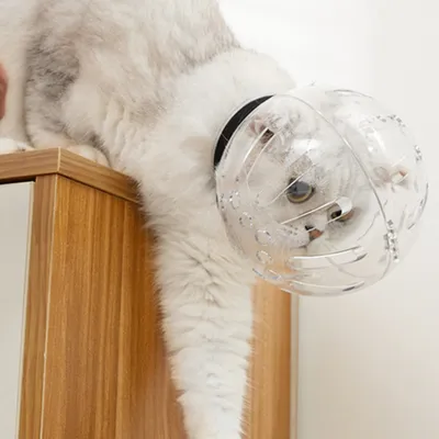 Zoomtopia Casque respirant pour chat
