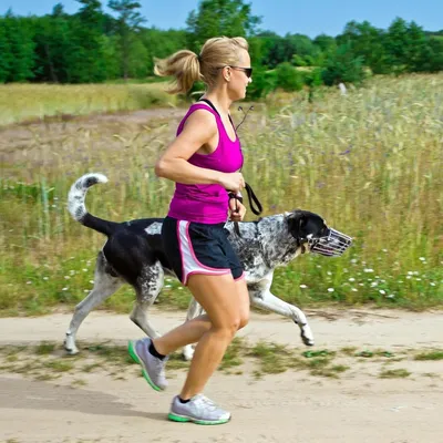 Zoomtopia Muselière pour chien en fer