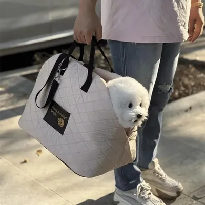 Zoomtopia Sac de voyage matelassé pour petit chien