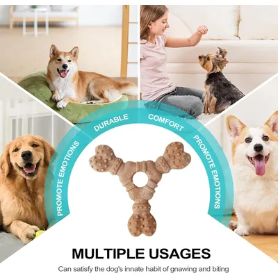 Pawzy Os à mâcher pour chien - Nettoyage dentaire & anti-ennui