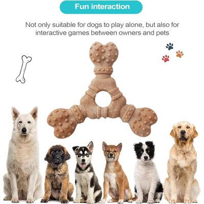 Pawzy Os à mâcher pour chien - Nettoyage dentaire & anti-ennui