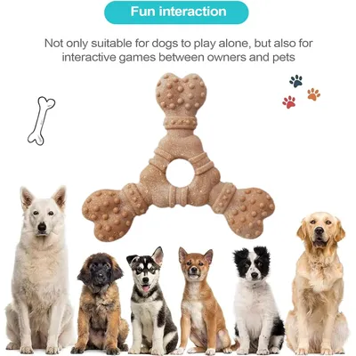 Pawzy Os à mâcher pour chien - Nettoyage dentaire & anti-ennui