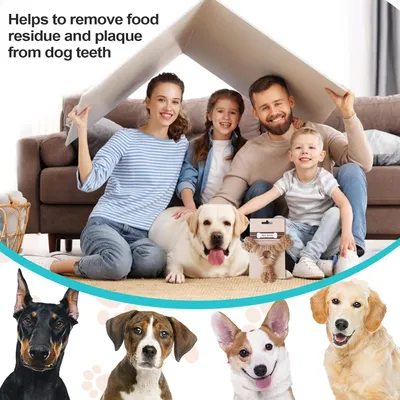 Pawzy Os à mâcher pour chien - Nettoyage dentaire & anti-ennui