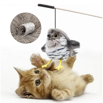 Pawzy Jouet pour chat en forme d'oiseau simulateur