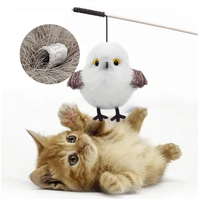 Pawzy Jouet pour chat en forme d'oiseau simulateur