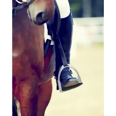 ZooVenture Étriers et selle anglaise pour cheval