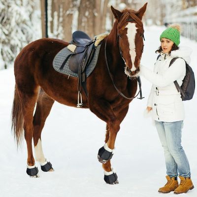 ZooVenture Cloches pour sabots en laine d'agneau pour chevaux