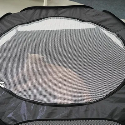 Pawzy Tunnel pliable pour chat d'intérieur