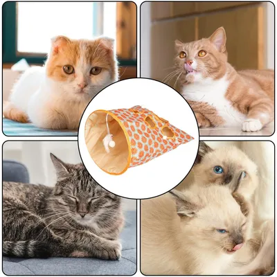 Pawzy Tunnel de jeu pliable pour chat