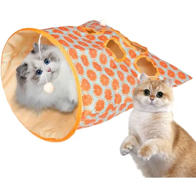 Pawzy Tunnel de jeu pliable pour chat
