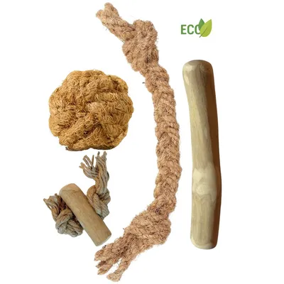 Boris & Lotje - Jouets à mâcher - Pack de base jouets pour chien