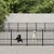 vidaXL chenil pour chien Acier