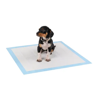 lionto Trainingspads für Hunde, 6-lagig, ultra saugstark