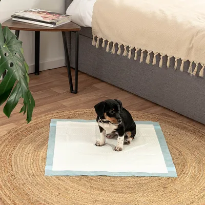 lionto tapis éducateurs pour chiens, 6 couches, ultra absorbants