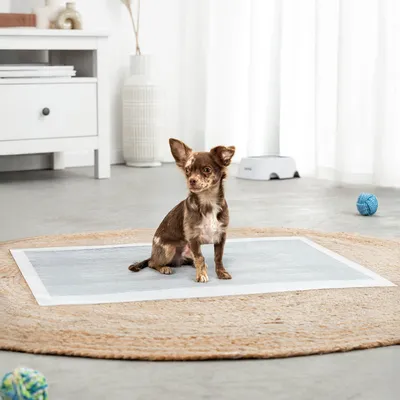 lionto tapis éducateurs pour chien, 6 couches, charbon actif, absorbants