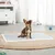 lionto tapis éducateurs pour chien, 6 couches, charbon actif, absorbants