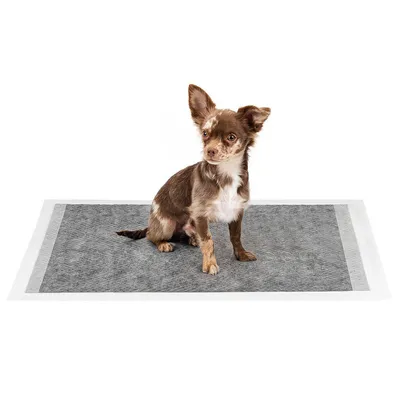 lionto tapis éducateurs pour chien, 6 couches, charbon actif, absorbants