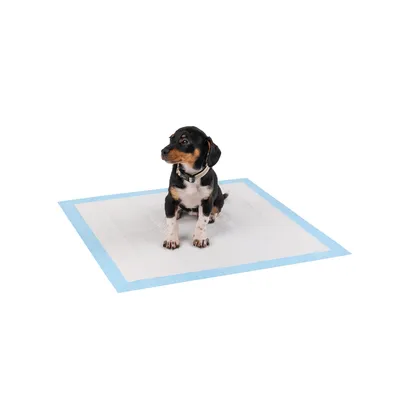 lionto tapis éducateurs pour chiens, 6 couches, ultra absorbants
