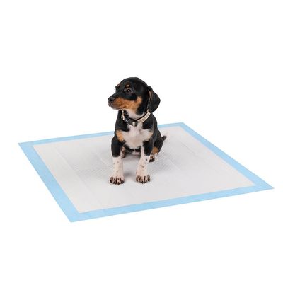 lionto tapis éducateurs pour chiens, 6 couches, ultra absorbants