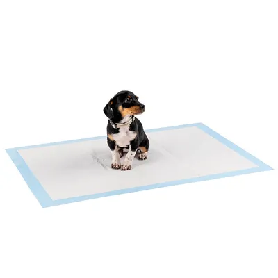 lionto tapis éducateurs pour chiens, 6 couches, ultra absorbants
