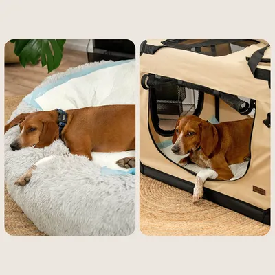 lionto tapis éducateurs pour chiens, 6 couches, ultra absorbants