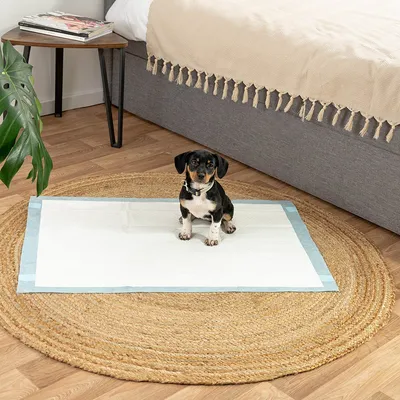 lionto tapis éducateurs pour chiens, 6 couches, ultra absorbants