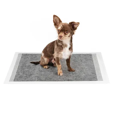 lionto tapis éducateurs pour chien, 6 couches, charbon actif, absorbants