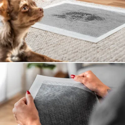 lionto tapis éducateurs pour chien, 6 couches, charbon actif, absorbants