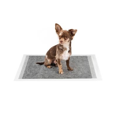 lionto tapis éducateurs pour chien, 6 couches, charbon actif, absorbants