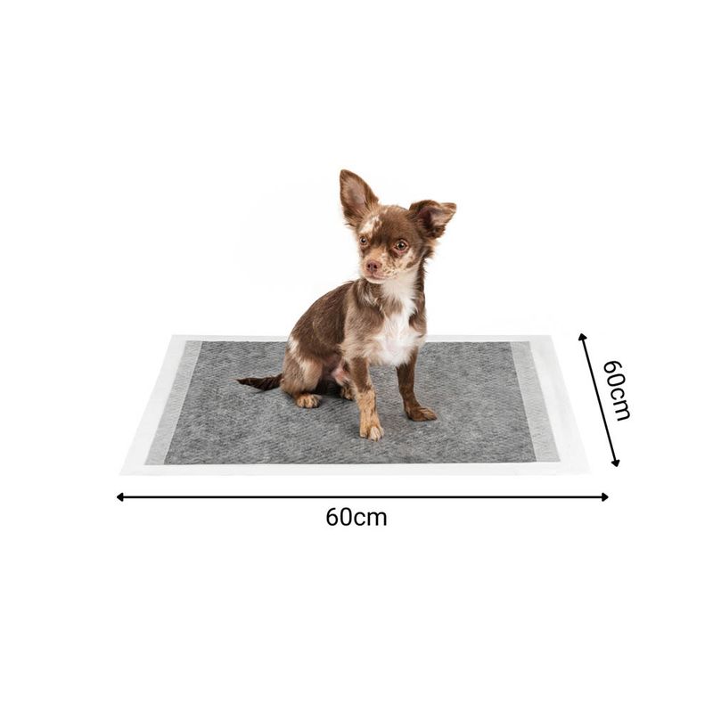 lionto tapis éducateurs pour chien, 6 couches, charbon actif, absorbants