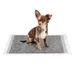 lionto tapis éducateurs pour chien, 6 couches, charbon actif, absorbants