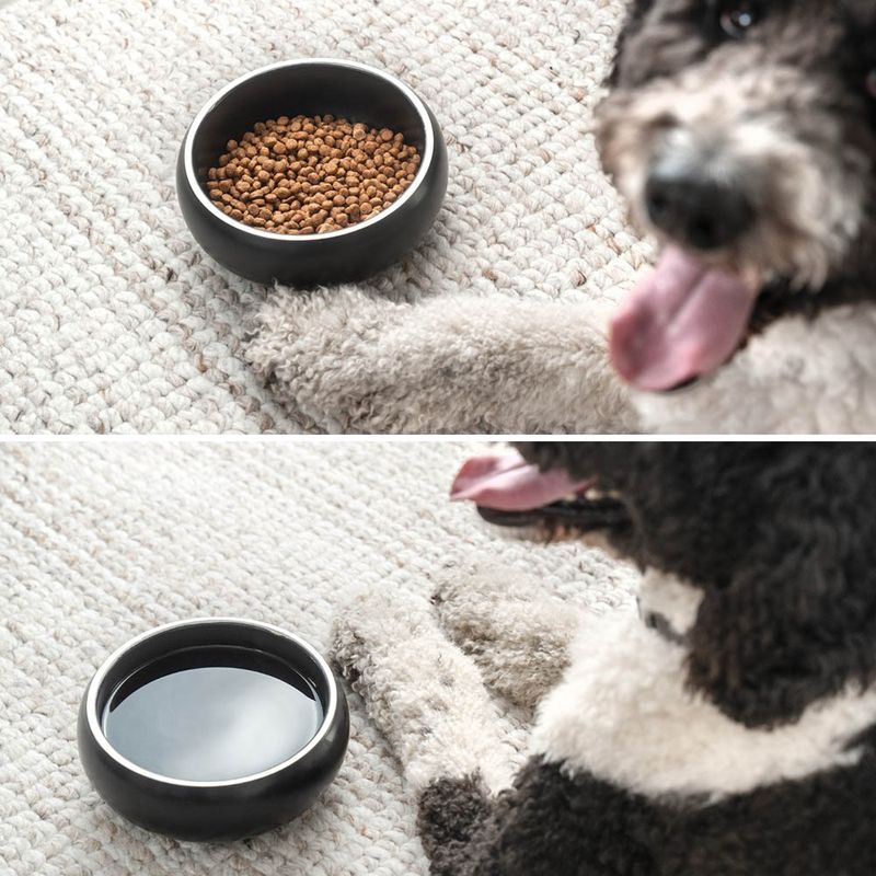 lionto gamelle chien antidérapante en acier inoxydable noir