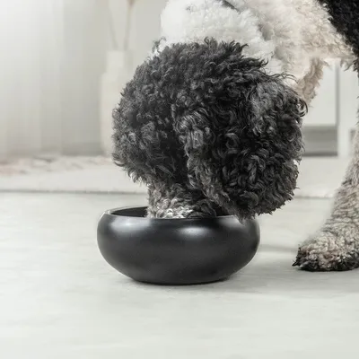 lionto gamelle chien antidérapante en acier inoxydable noir