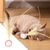 ZENITHMIND 3 Pcs Balle Rebondissante Chat avec Plume（baseball）