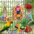 Jouets pour oiseaux, perchoir en corde avec clochette