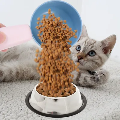 Pelles à nourriture pour animaux