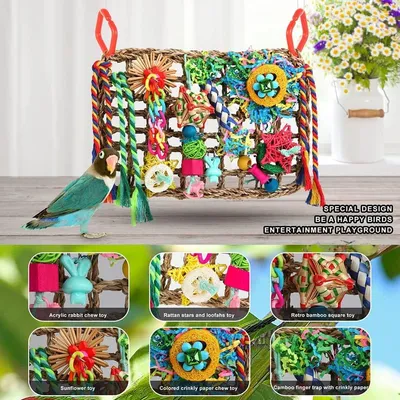 Jouets pour oiseaux à chercher de la nourriture