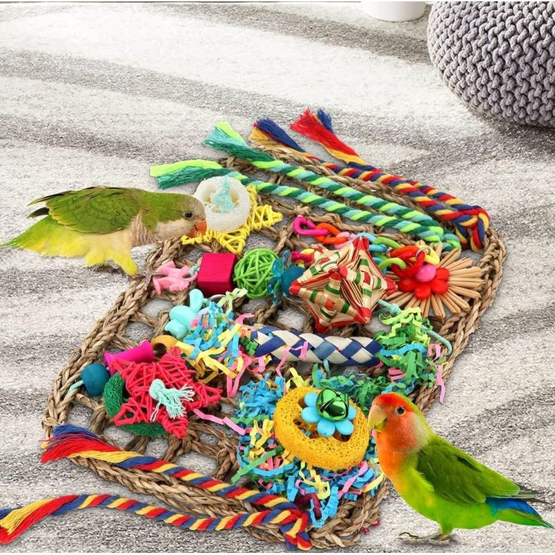 Jouets pour oiseaux à chercher de la nourriture