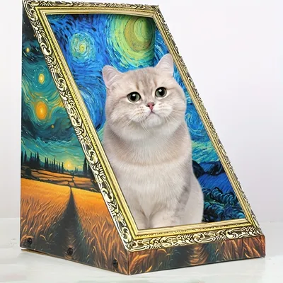 Maison pour chat avec griffoir et peinture à l'huile recto verso