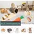 Accessoires pour cages à hamsters, jouets à mâcher