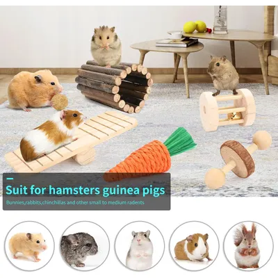 Accessoires pour cages à hamsters, jouets à mâcher