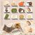 Accessoires pour cages à hamsters, jouets à mâcher