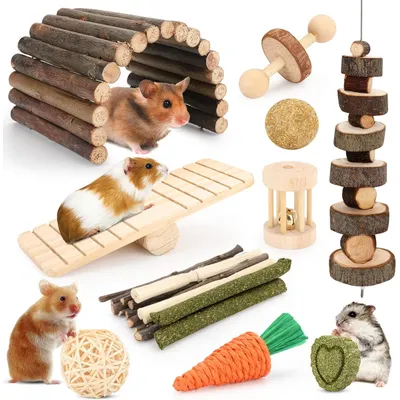 Accessoires pour cages à hamsters, jouets à mâcher