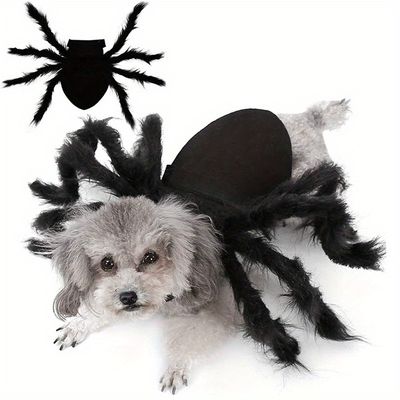 Costumes d'araignée pour chiens et chats pour Halloween