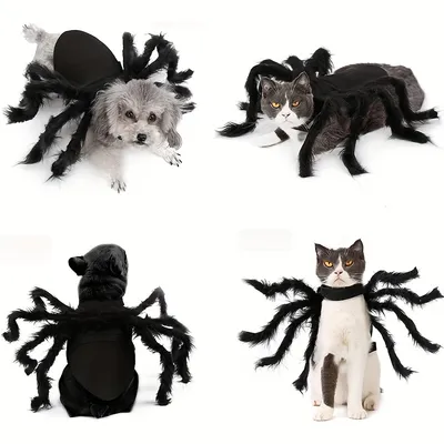 Spinnenkostüme für Hunde und Katzen zu Halloween Spinnenkostüme für Hunde und Katzen zu Halloween
