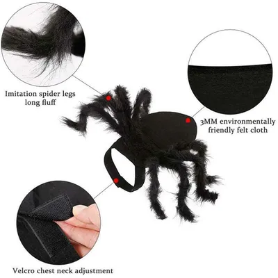 Spinnenkostüme für Hunde und Katzen zu Halloween Spinnenkostüme für Hunde und Katzen zu Halloween