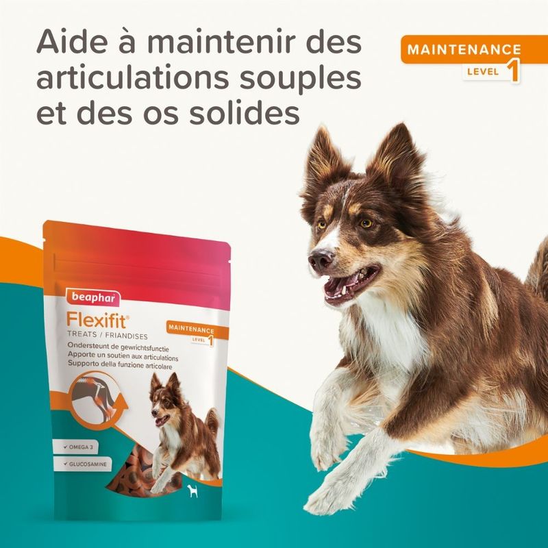 BEAPHAR   Flexifit Friandises Chien