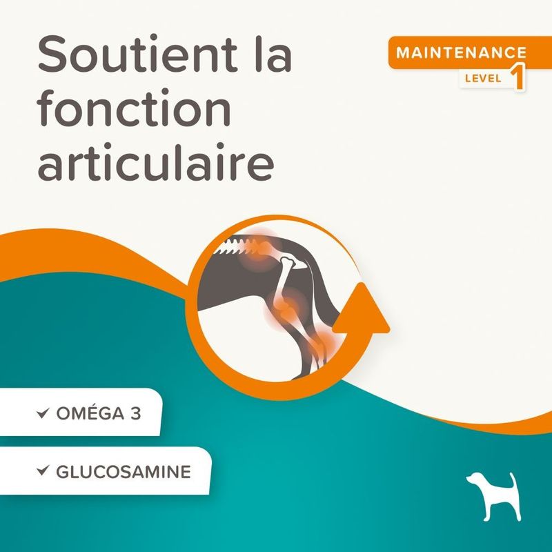 BEAPHAR   Flexifit Friandises Chien