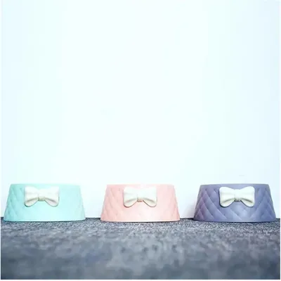 Gamelle pour animaux de compagnie