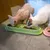 Plateau d'alimentation pour chat – Gamelle multi-repas longue